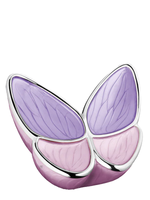Papillon mauve et rose